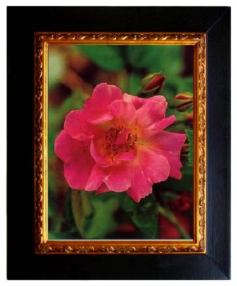 framed  unknow artist Still life floral, all kinds of reality flowers oil painting  241, Ta064